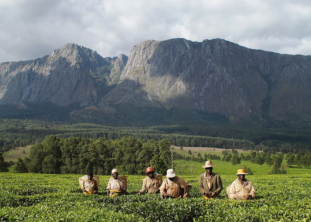 Thyolo Region, Malawi