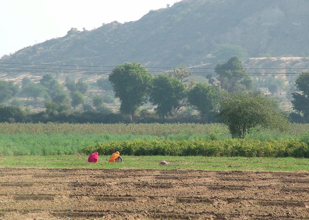 Farmland, Chhatra Sagar