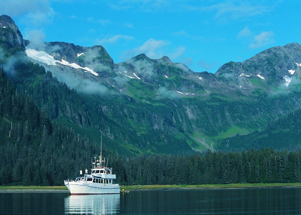 Snow Goose at anchor