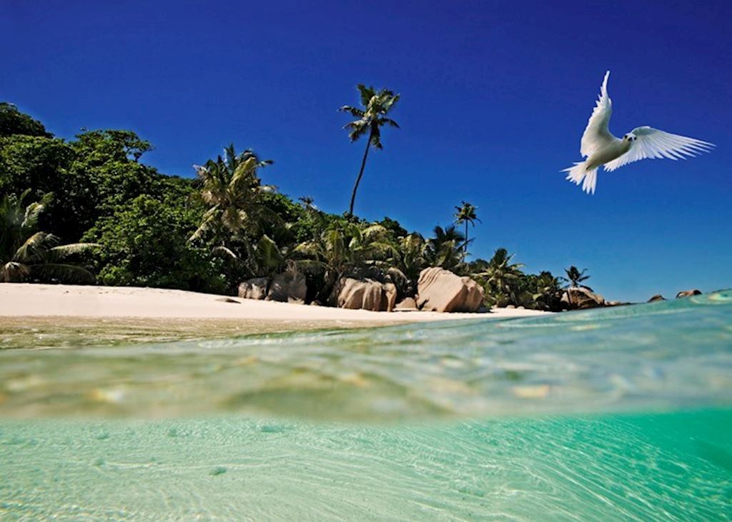Cousine Island, Seychelles