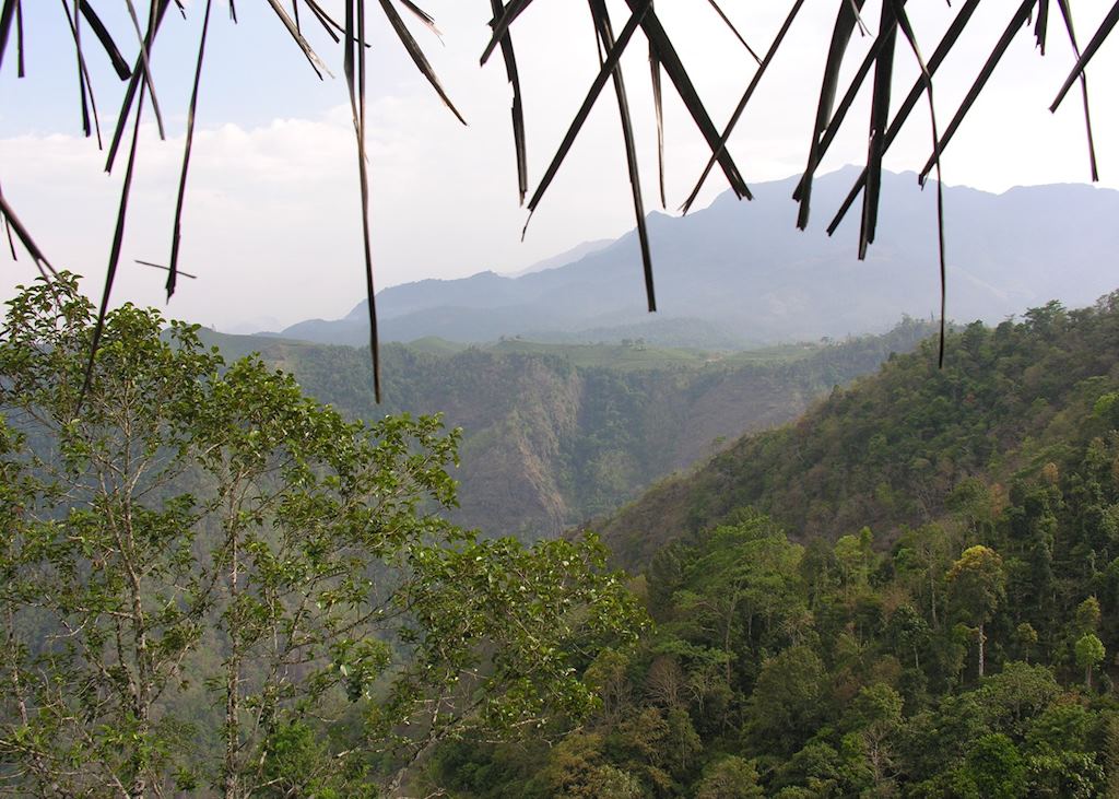 View from Hut, Aranyakam, Wayanad