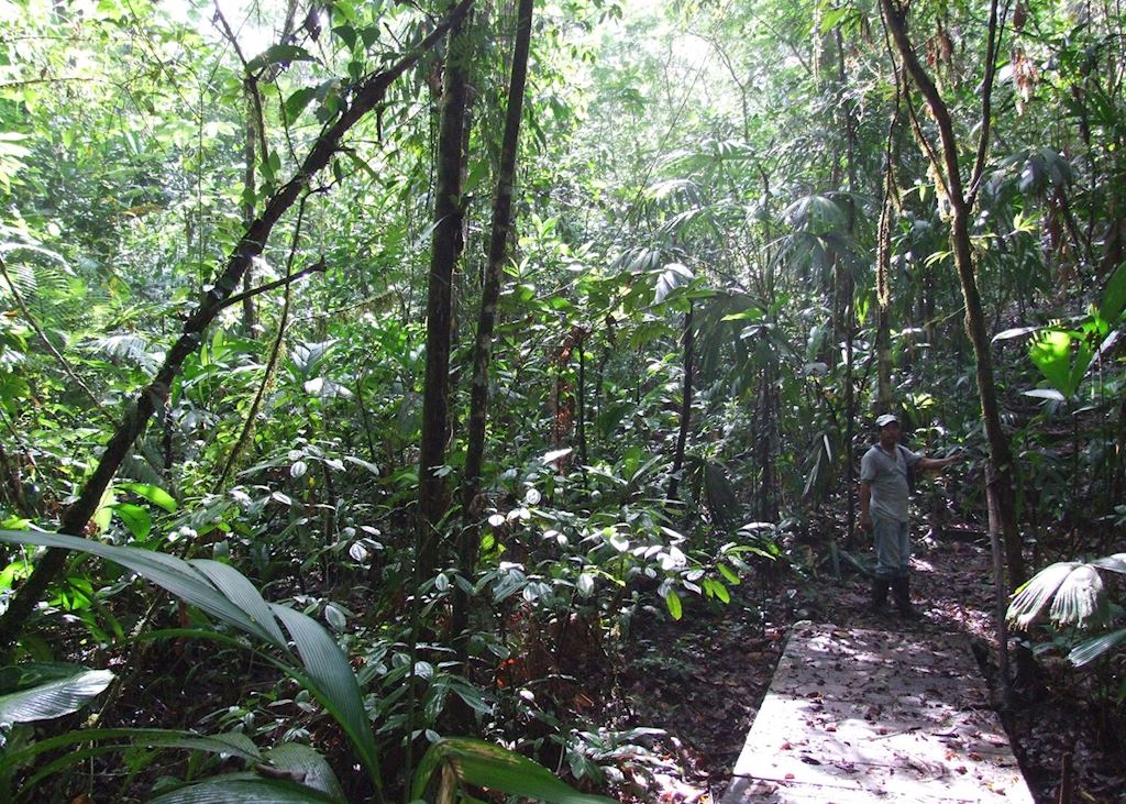 Walking in the Indio Maiz Biological Reserve