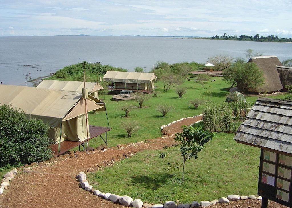 Ngamba Island Tented Camp, Ngamba Island Chimpanzee Sanctuary