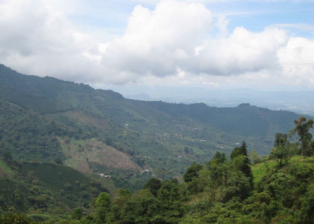Views over the coffee region