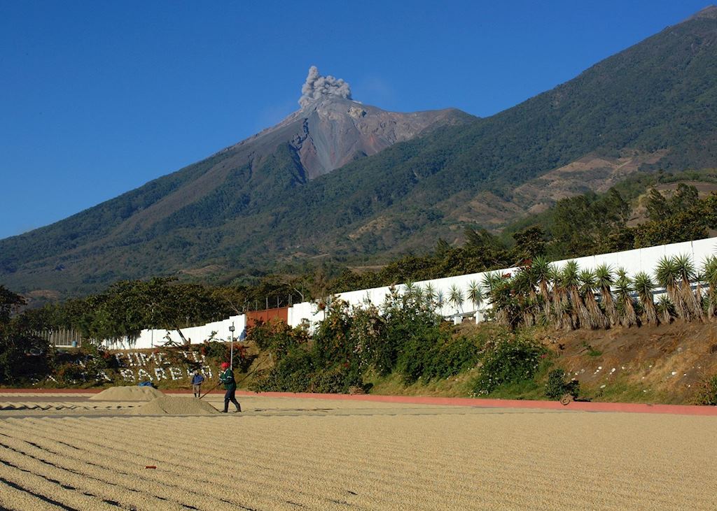 El Fuego Volcano, Antigua, Guatemala