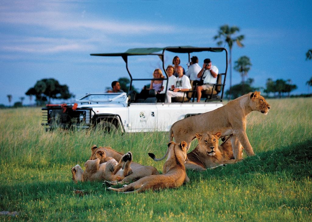 Game drive in Hwange National Park