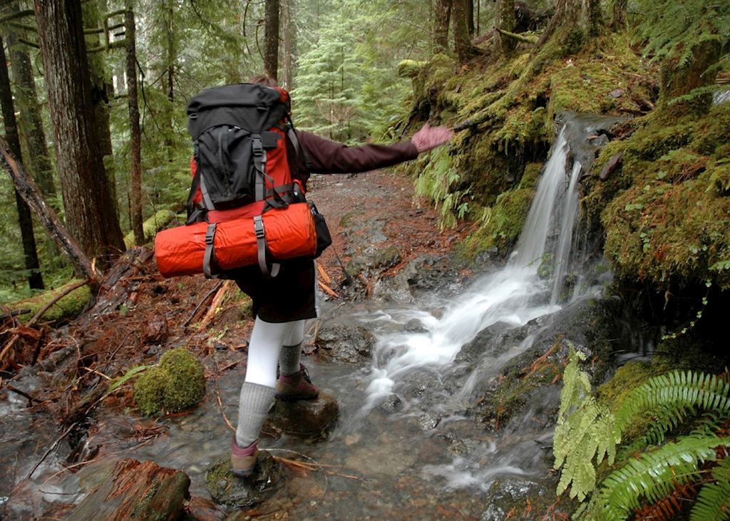 Hiking in Olympic National Park
