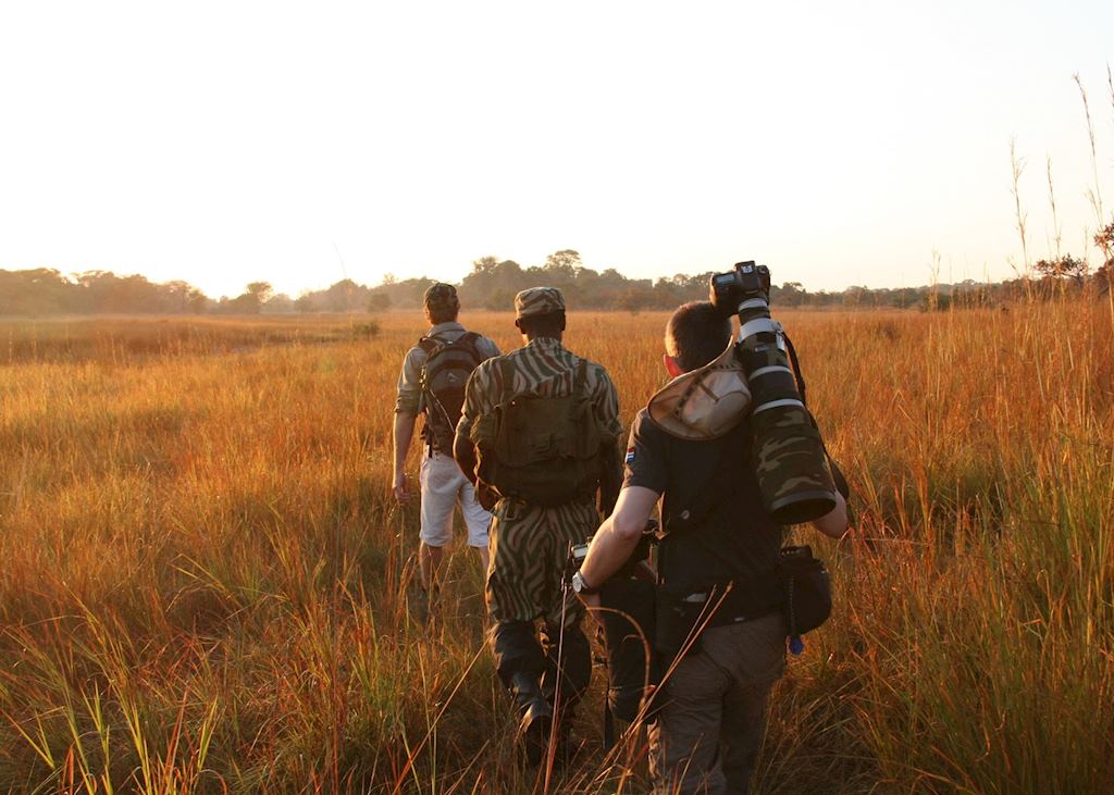 Walking safari from Musekese Bush Camp,Kafue National Park