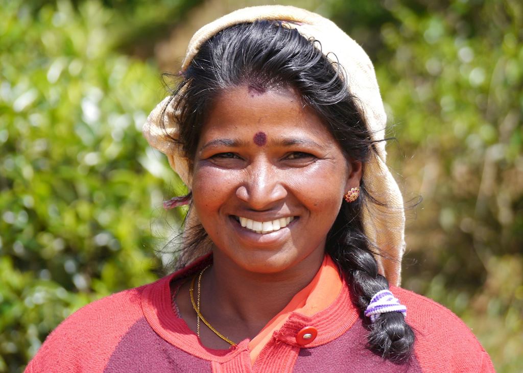 Tamil tea picker, Pedro tea plantation, near Nuwara Eliya