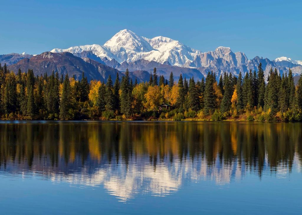 Mt Denali