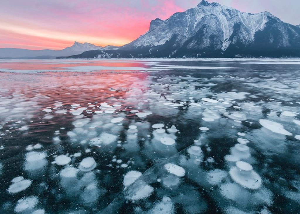 Ice bubbles underneath Abraham Lake, near Lake Louise