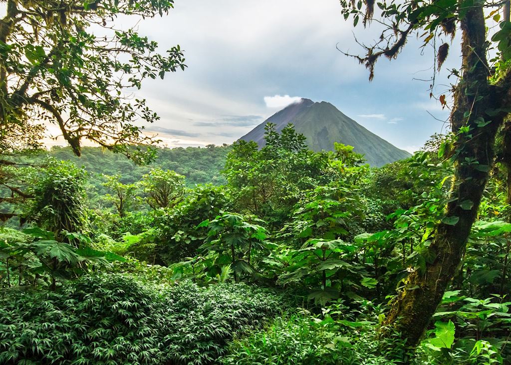 View to the Arenal Volcano