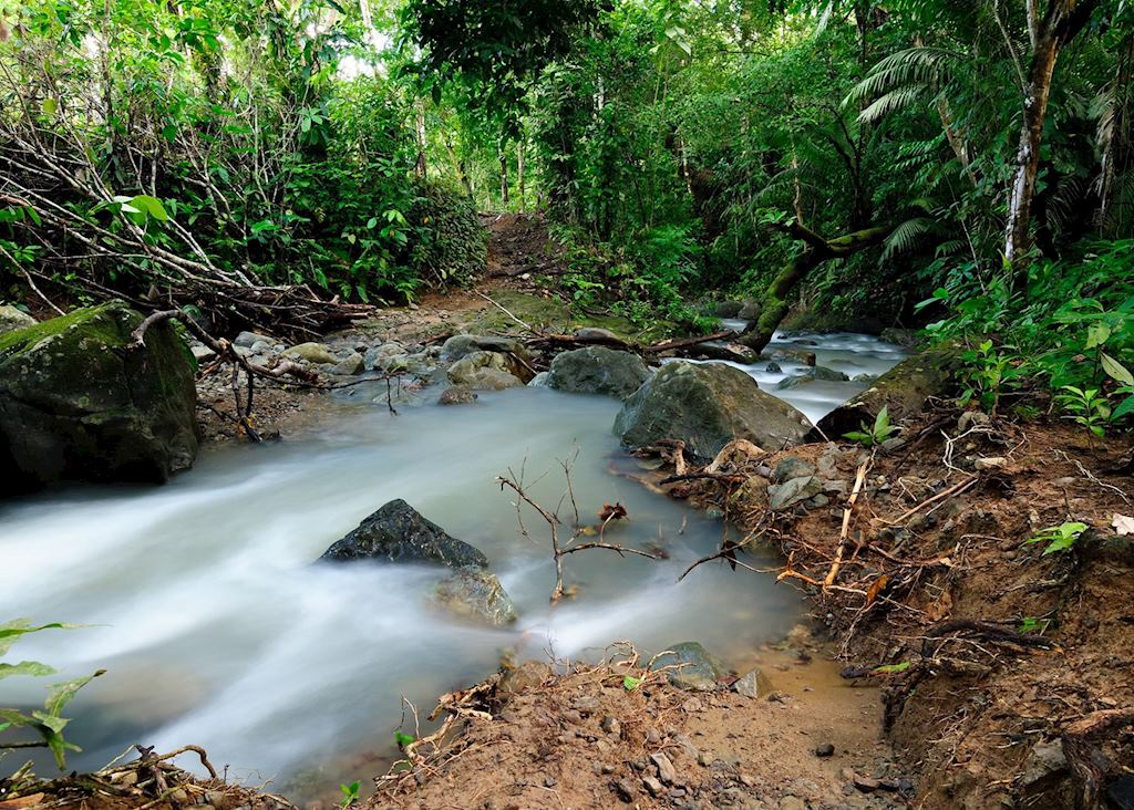 Darien jungle, Panama