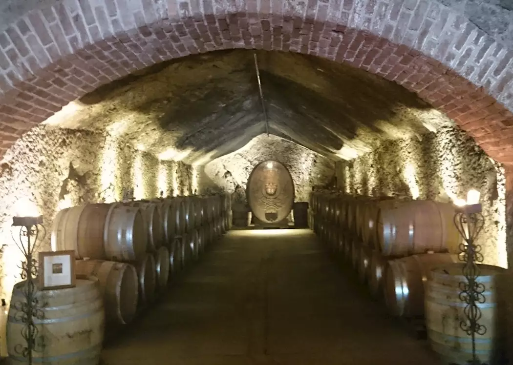 Wine cellar at Buena Vista