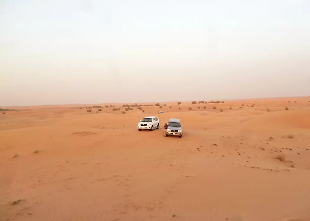 Dune Safari, Dubai