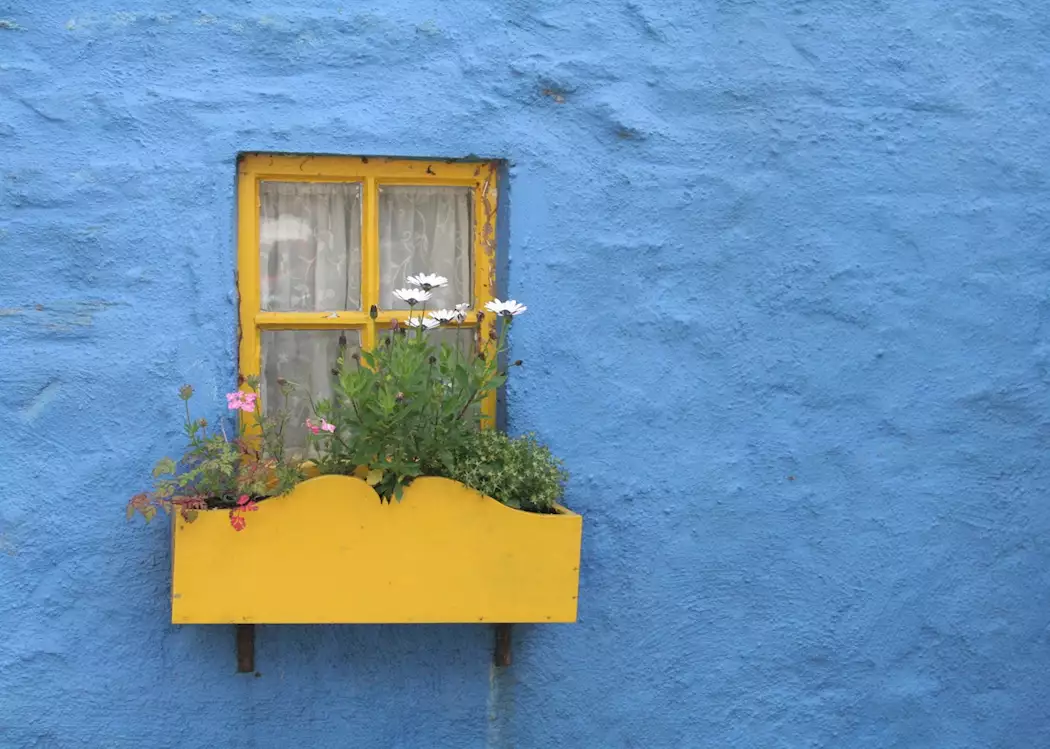 Vibrant house in Ireland