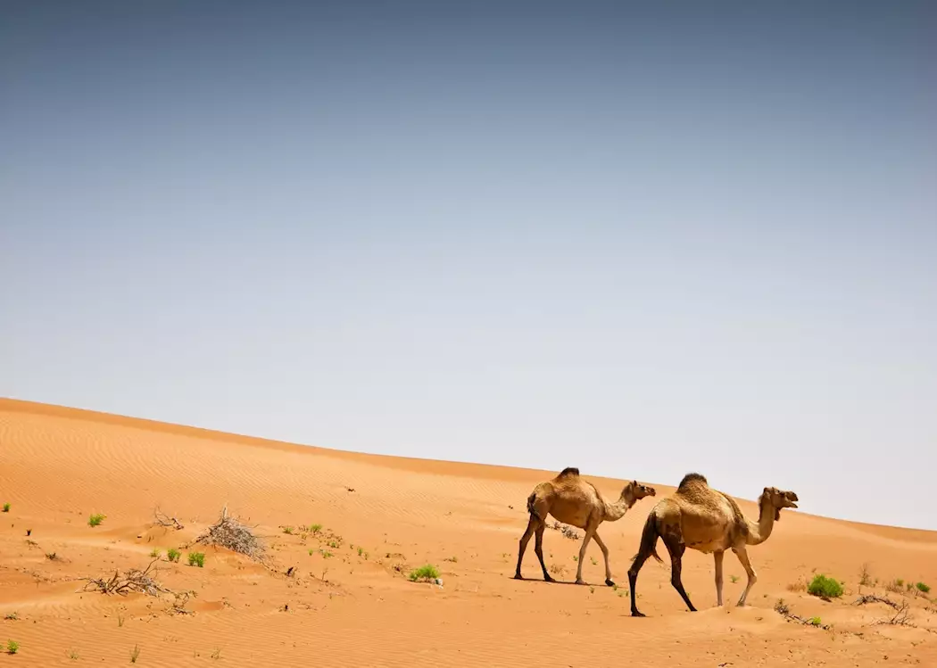 Desert, Oman