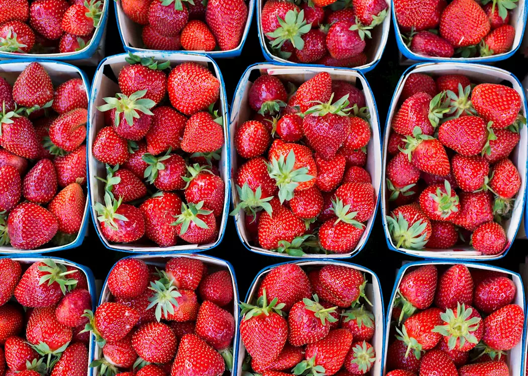 Fresh strawberries, France