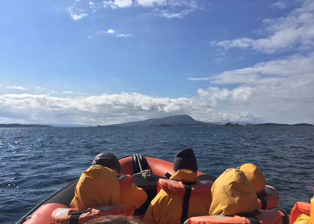 Corryvreckan wildlife tour