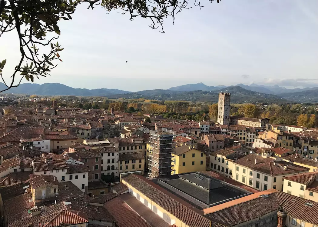Lucca, Lucca