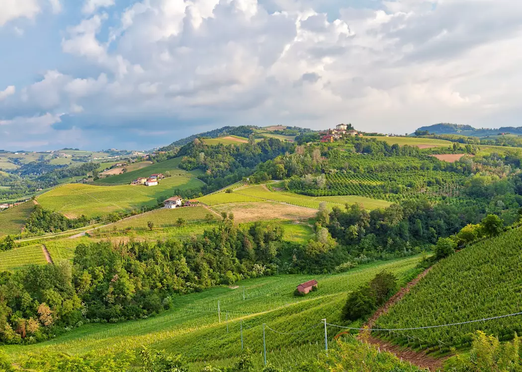 Piedmontese countryside, Langhe