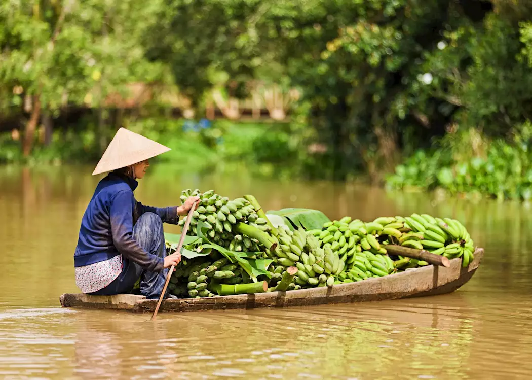 Fruit seller, Mekong Delta