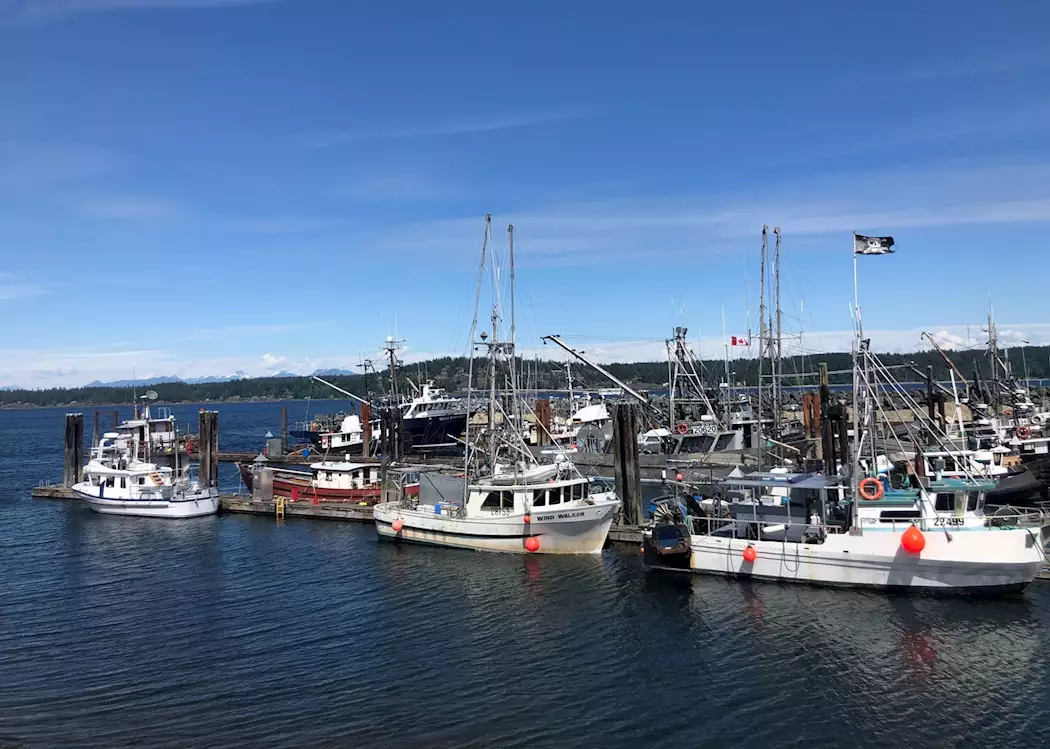 Campbell River Harbour, Campbell River