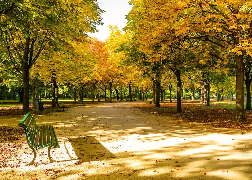 Park in Autumn, Berlin