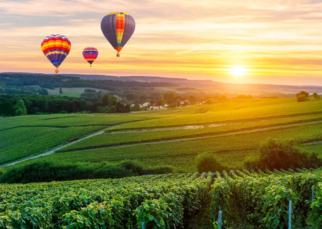Hot air balloons over the vineyards