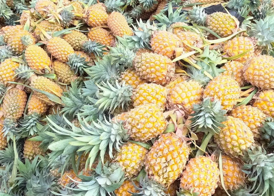Pineapples in Colombo