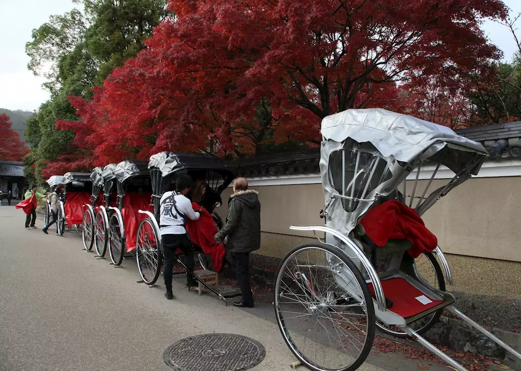 Rickshaws in autumn