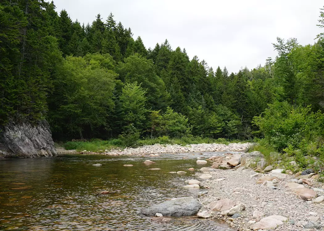 Gran río de salmones en el Fundy Trail Parkway de Nueva Brunswick