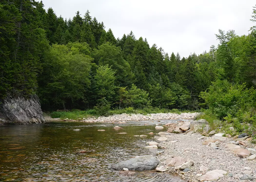 Fondo Gran Puente Sobre El Río Salmón En Fundy Trail Parkway Foto