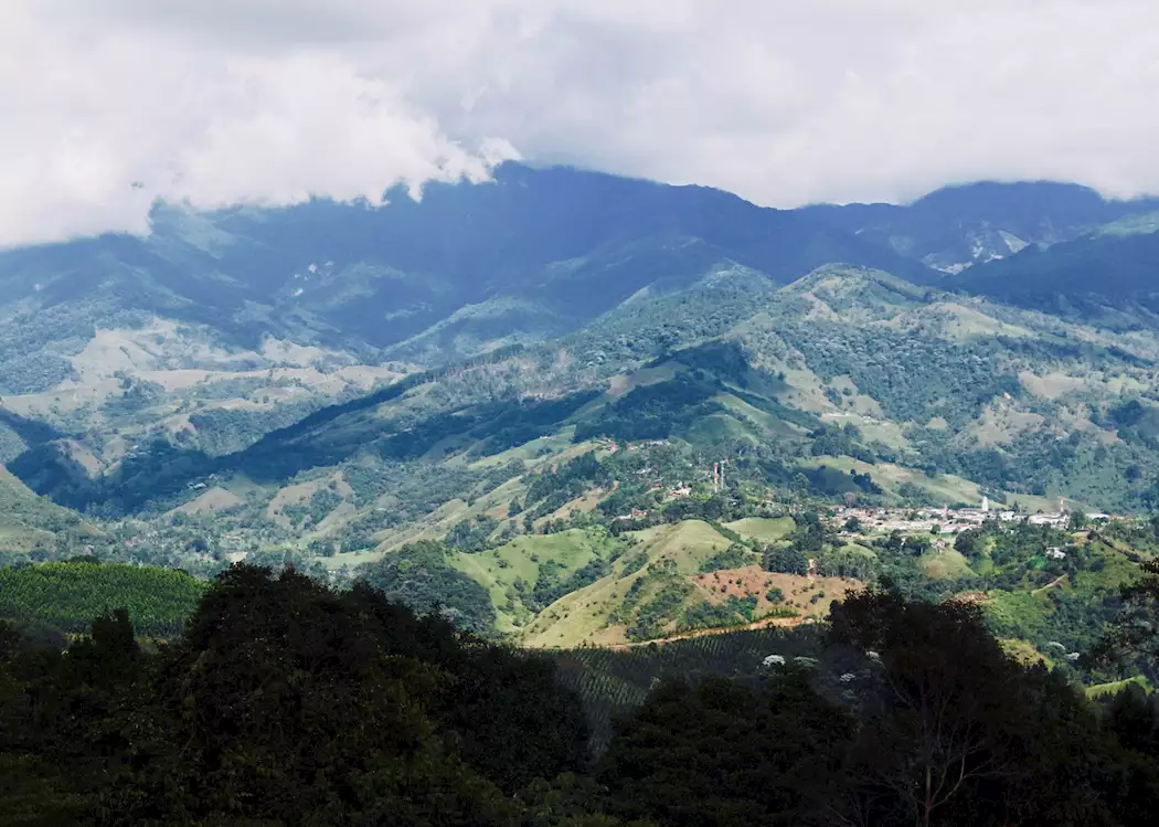 Colombian Coffee Region
