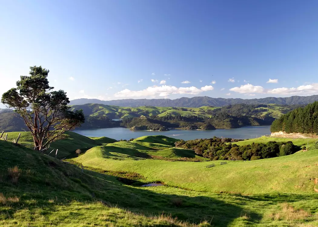 Waikato
