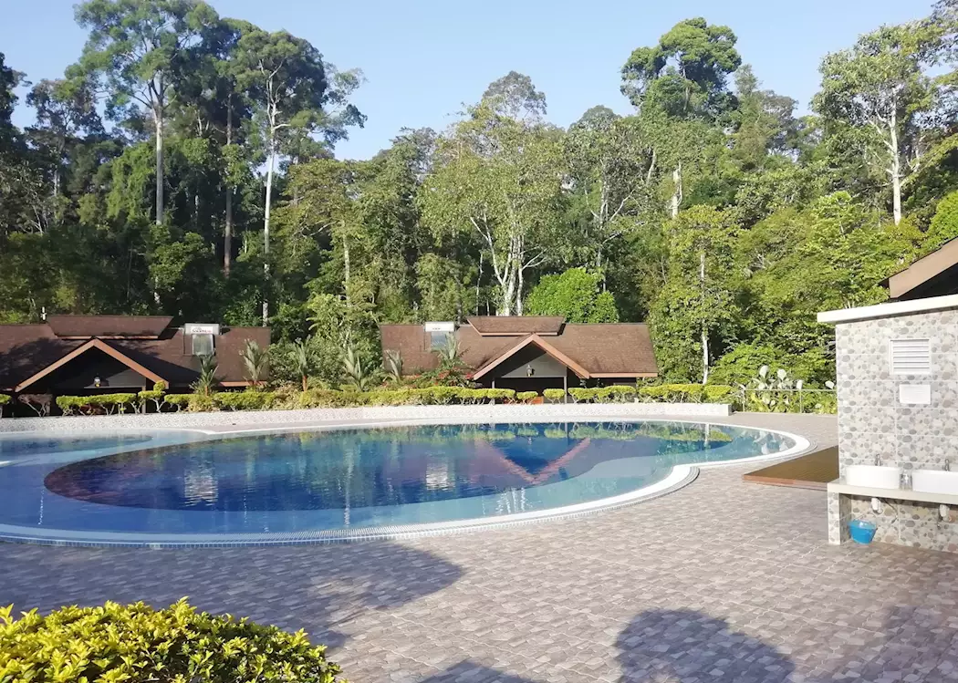 My Nature Resort  Pool