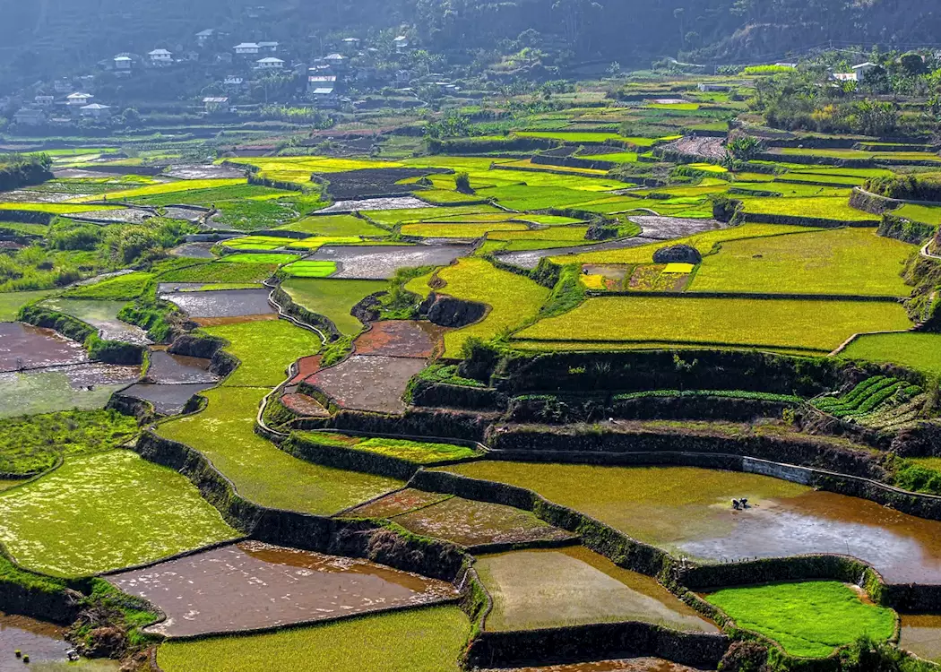 Rice terraces around Sagada