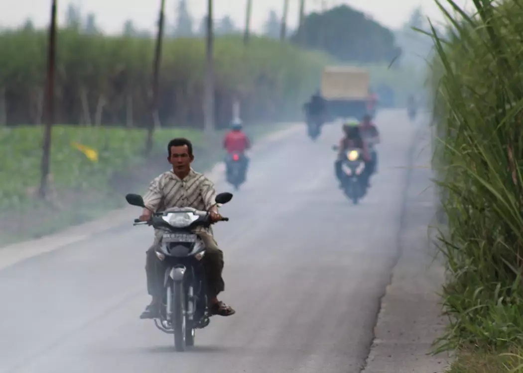 Scenery outside of Medan, local roads through tobacco plantations, Sumatra