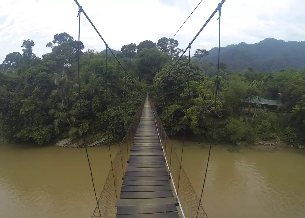 Walking across the bridge to Jungle Lodge, Tangkahan