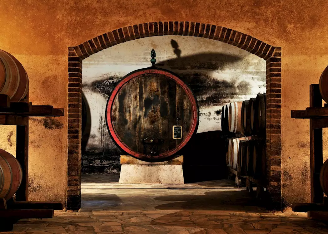 Felsina vineyard barrels