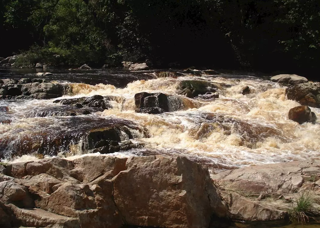 Taman Negara National Park, Malaysia