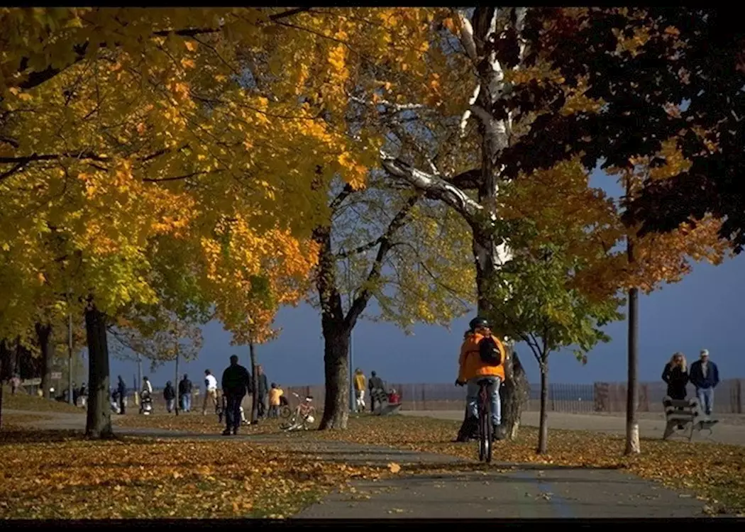 Cycling under trees in fall colours