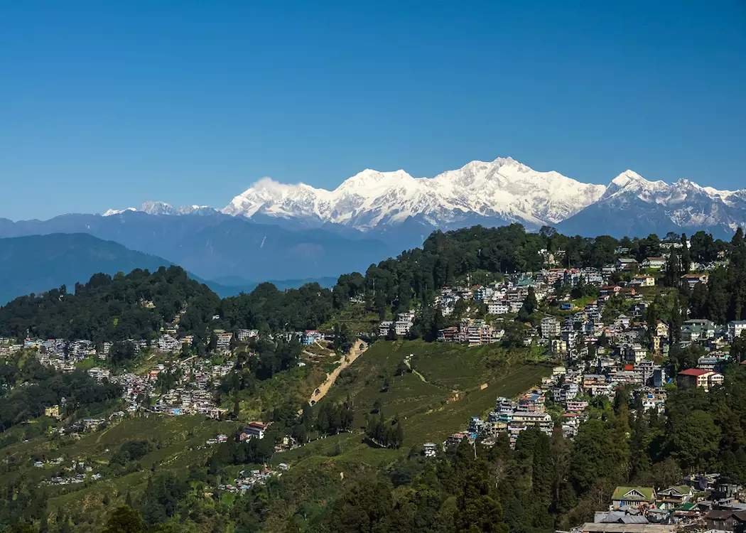 1318537 darjeeling