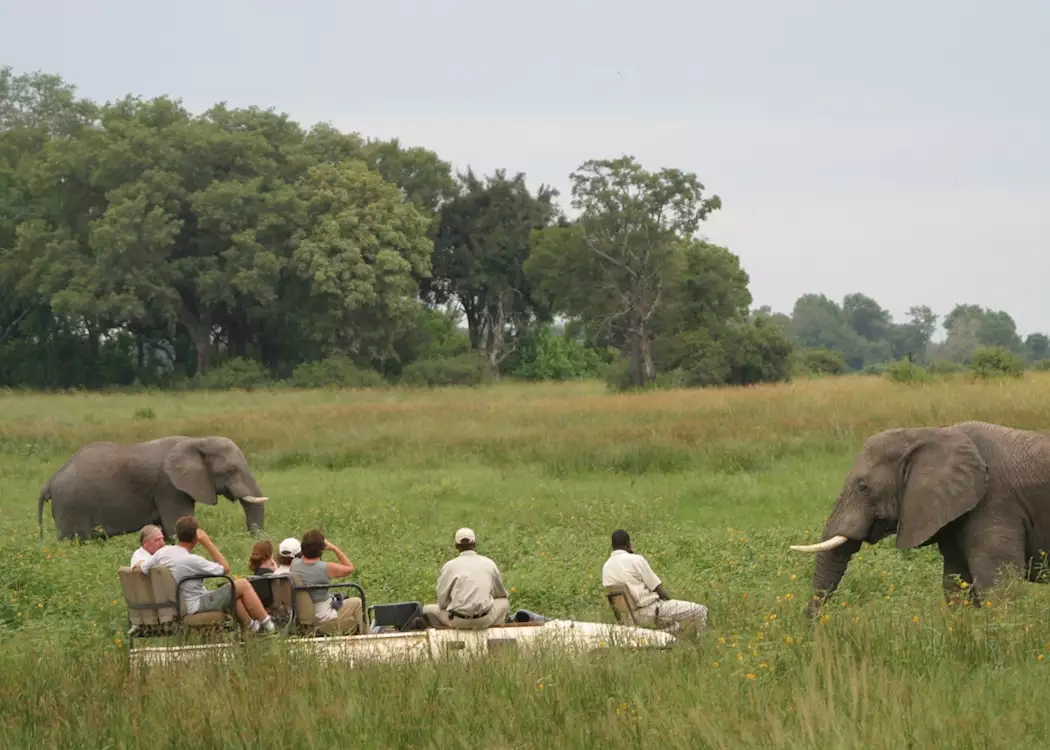 Game drive in the Kwara Concession