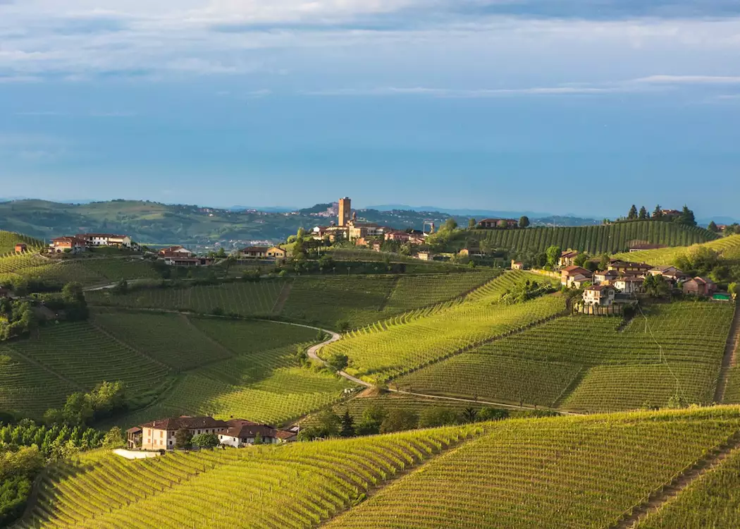 Langhe countryside, Piedmont