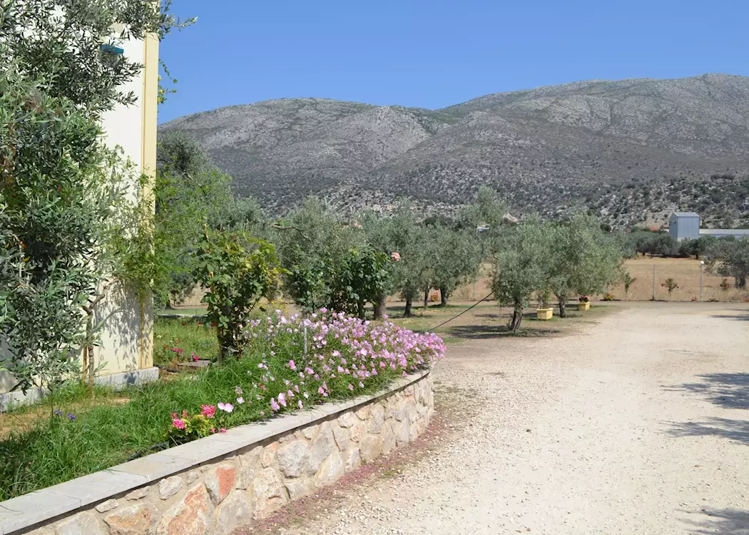 Melas olive oil, Epidavros