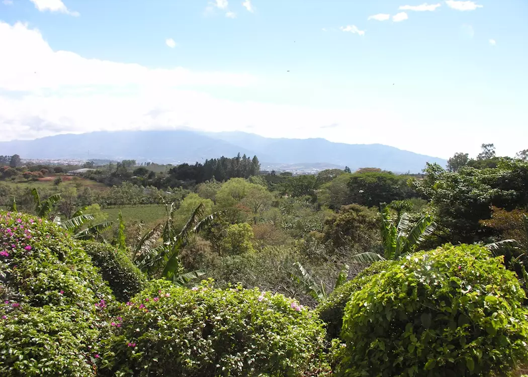 View from Finca Rosa Blanca