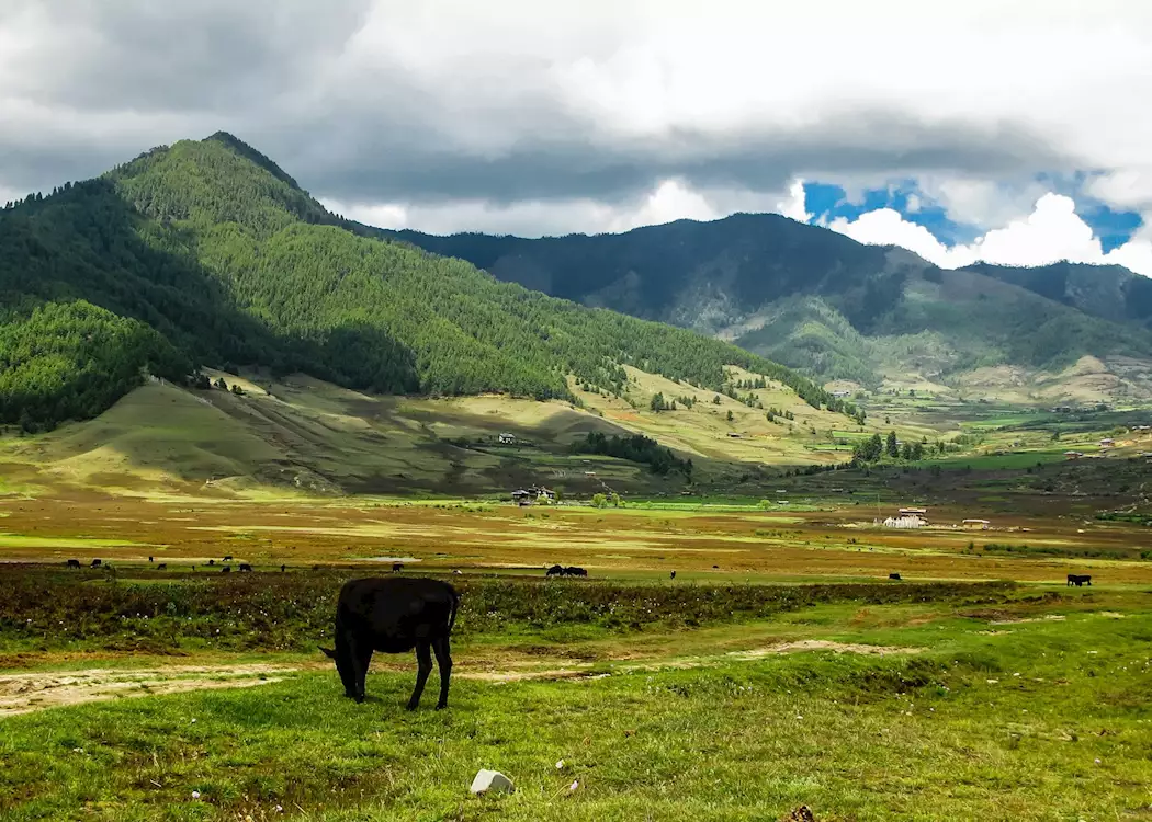 Phobjikha Valley, Bhutan