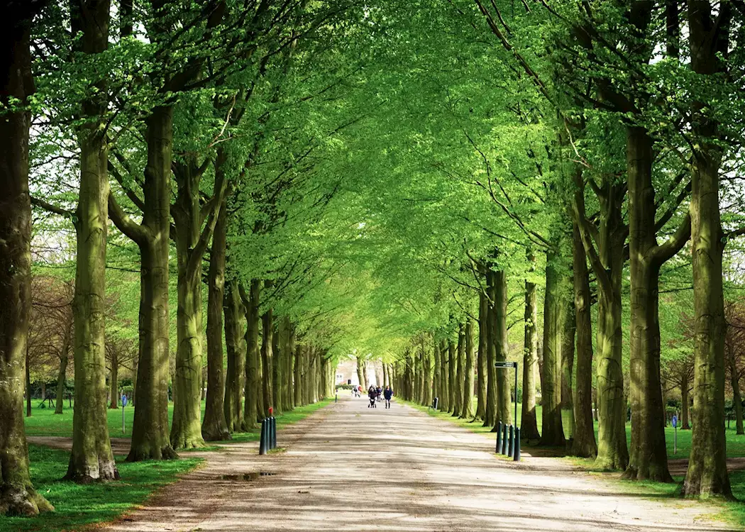 Tree lined park in The Hague, Netherlands