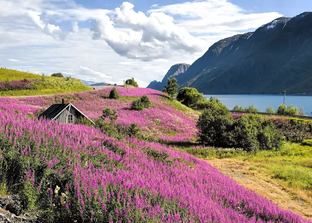 Sognefjord scenery